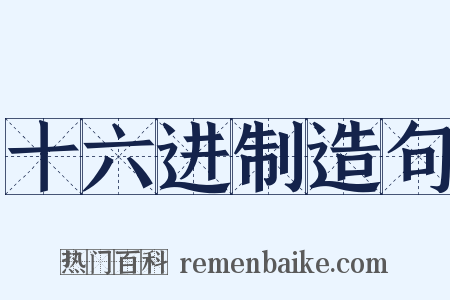 十六进制造句是什么意思的图片
